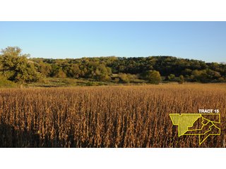 Property photo 56 - 1,153 +/- Acres offered in 15 TractsLAND AUCTION